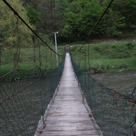 Вилла Vrbas Dreams Torlakovac Экстерьер фото